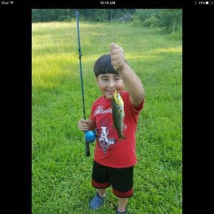 Meet your Posher, Omar